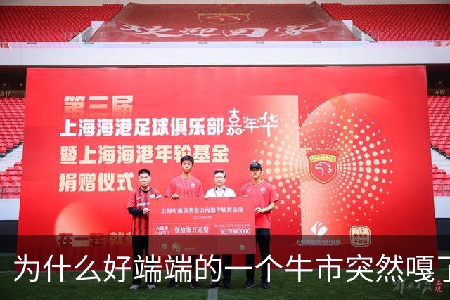 为什么好端端的一个牛市突然嘎了？走成这样子？