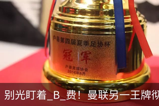 别光盯着 B 费！曼联另一王牌彻底垮掉！冬窗必须清洗