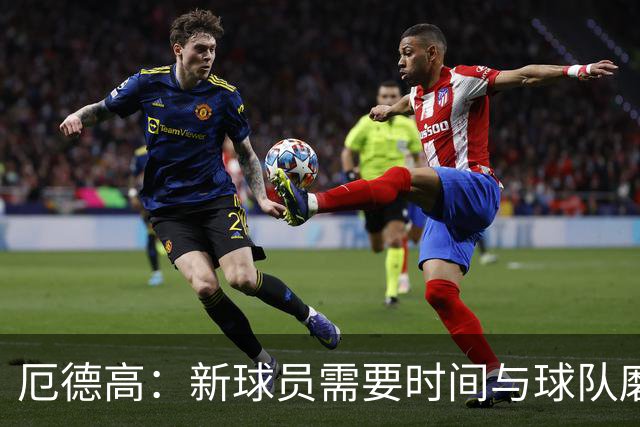 厄德高：新球员需要时间与球队磨合，我们每周都在变得更好