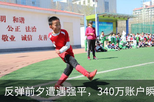 反弹前夕遭遇强平，340万账户瞬间清零，杠杆的代价有多沉重