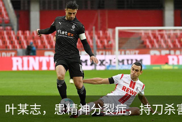 叶某志，患精神分裂症，持刀杀害邻居祖孙三人，已被执行死刑