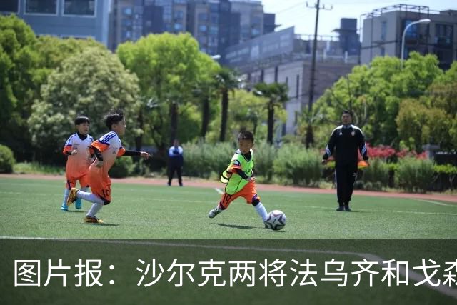图片报：沙尔克两将法乌齐&戈森斯严重撞伤，将缺席杯赛