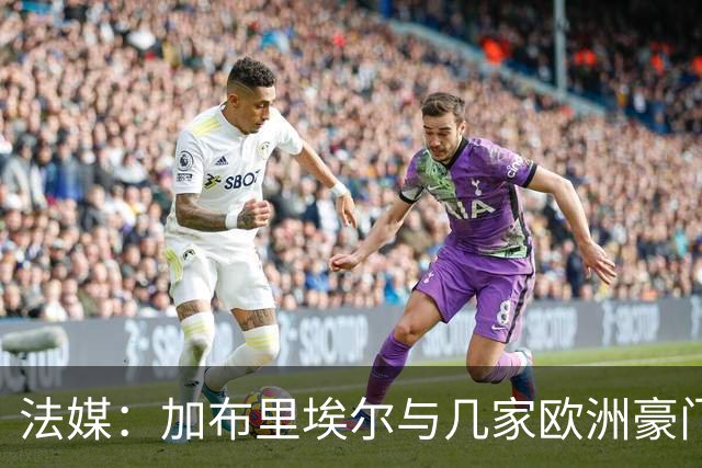 法媒：加布里埃尔与几家欧洲豪门联系在一起，巴黎还没有报价