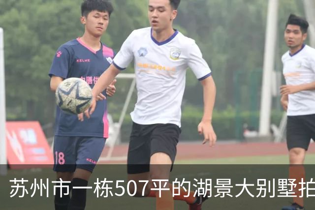 苏州市一栋507平的湖景大别墅拍卖，被人370万元拿下了
